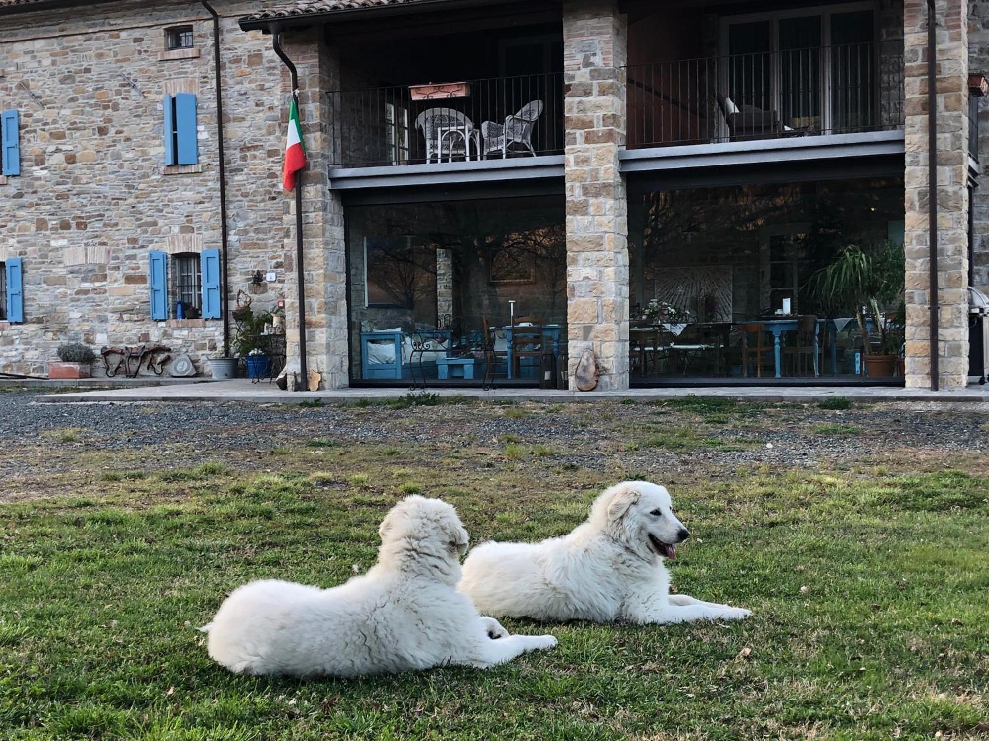 La Locanda Nel Vento Calestano エクステリア 写真