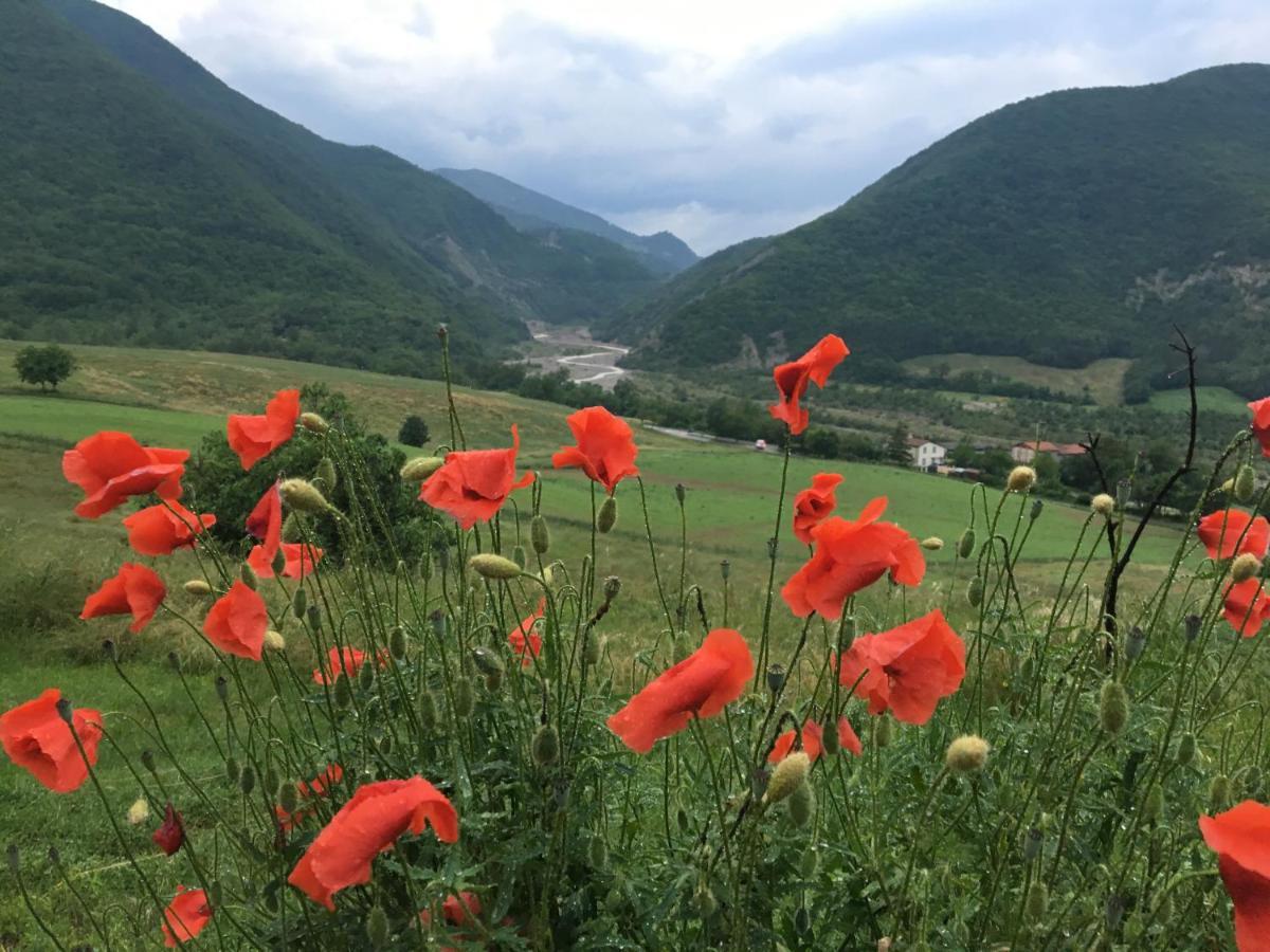 La Locanda Nel Vento Calestano エクステリア 写真